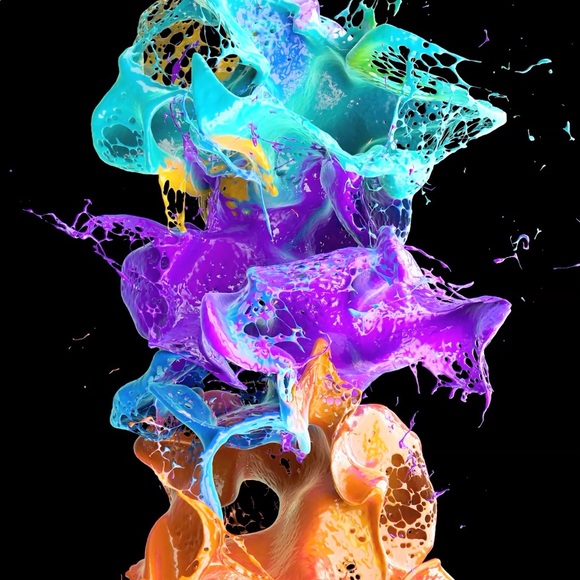 Meet your Posher, Sienna - Picture 1 of 1